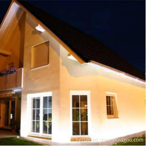 SMD5050 30leds/m Led flexible strip with CE,ROHS certificate